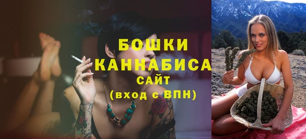 apvp Новозыбков