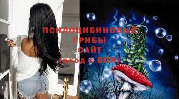 эйфоретик Новодвинск