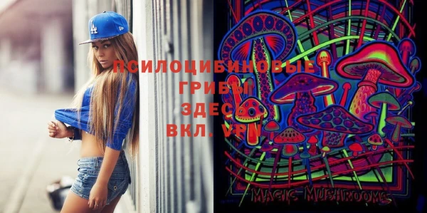 альфа пвп Новокубанск