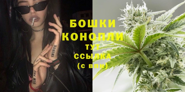 apvp Новозыбков