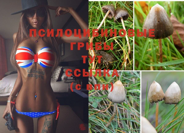 эйфоретик Новодвинск