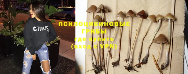 синтетический гашиш Няндома