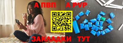 кокс Кингисепп