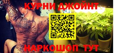 кокс Кингисепп