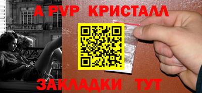 кокс Кингисепп
