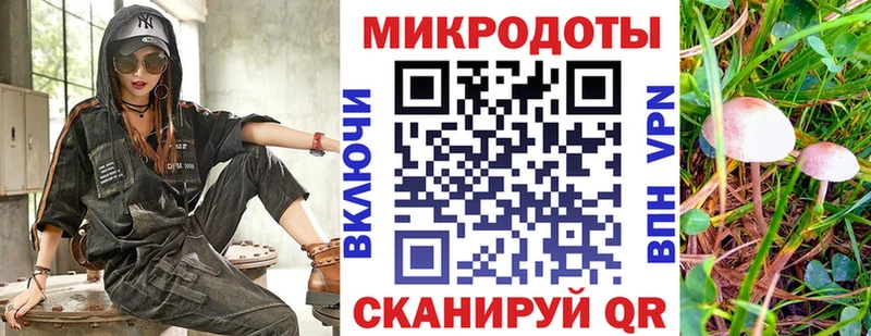 Галлюциногенные грибы Psilocybine cubensis  blacksprut сайт  Советский 