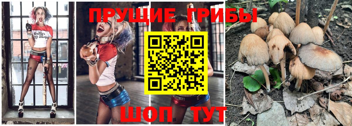 Псилоцибиновые грибы Psilocybe  Псилоцибиновые грибы GOLDEN TEACHER  Советский  продажа наркотиков  Вход с VPN 
