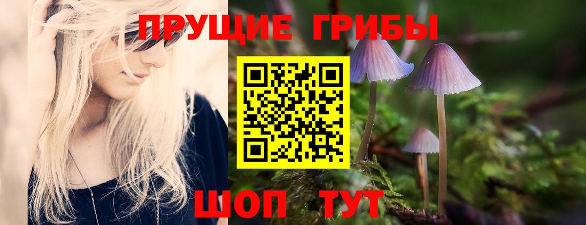Псилоцибиновые грибы ЛСД Советский